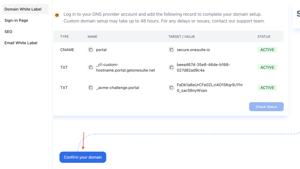 checking DNS Status and connecting domain